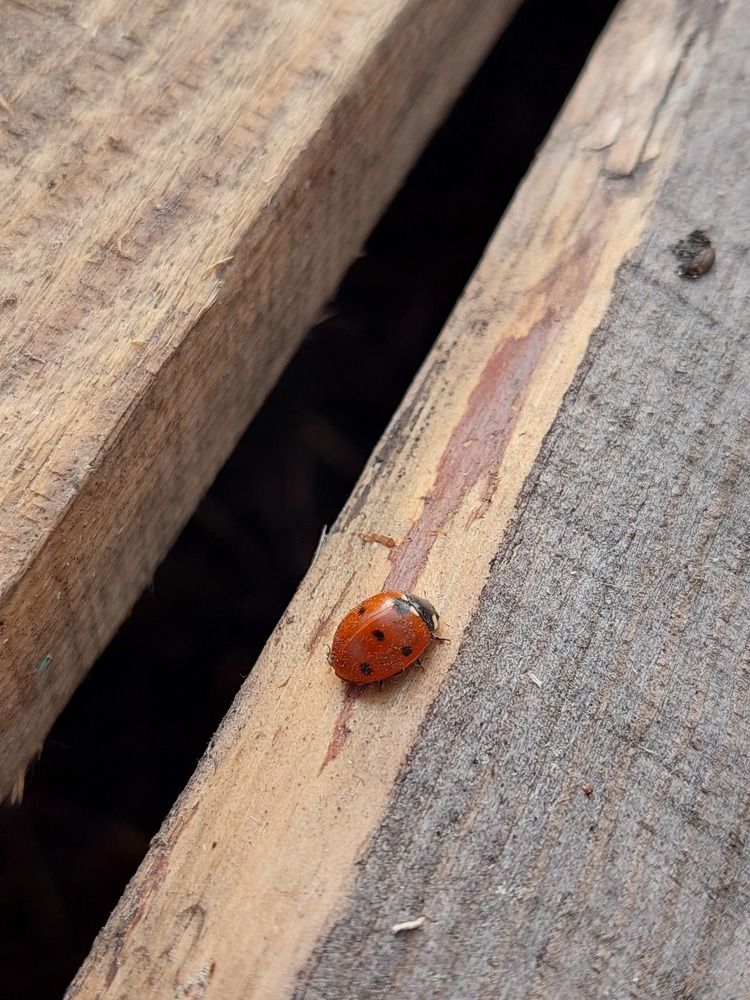 Photograph by Андрей Нурулин