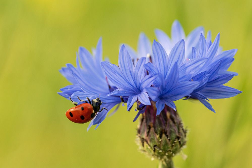 Photograph by Наталья