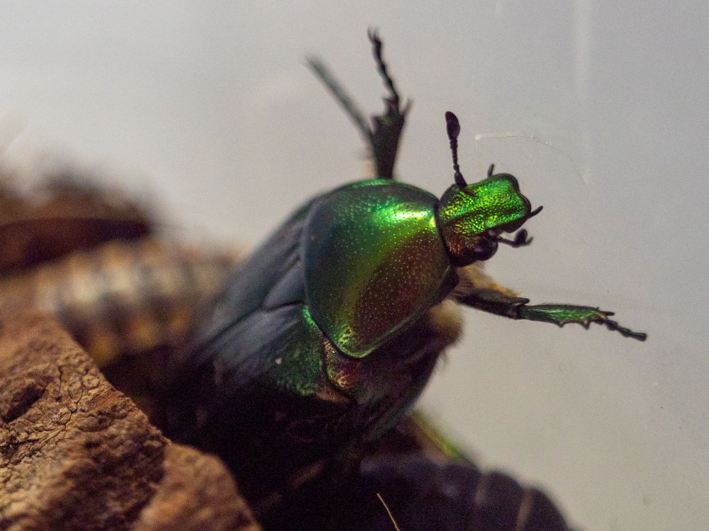 Фотография автора Бычков Валерий