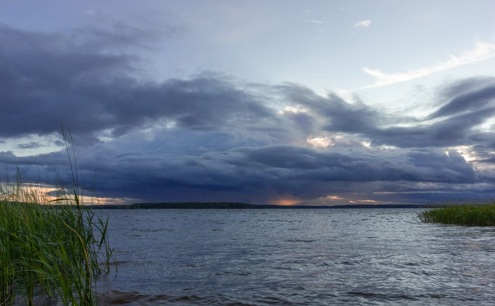 Фотография автора Ольга Бонина