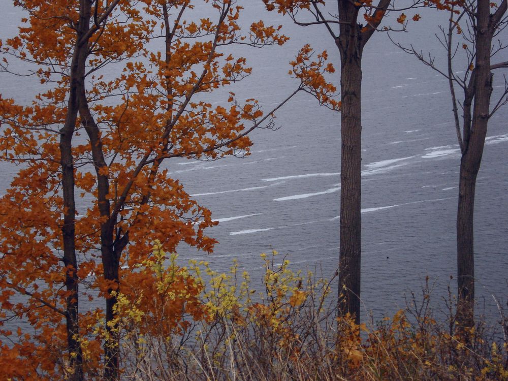 Photo #8211553