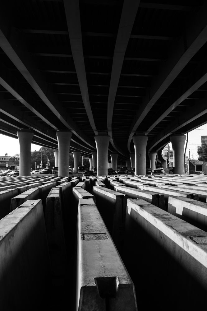 Photograph by Евгений Моляшов