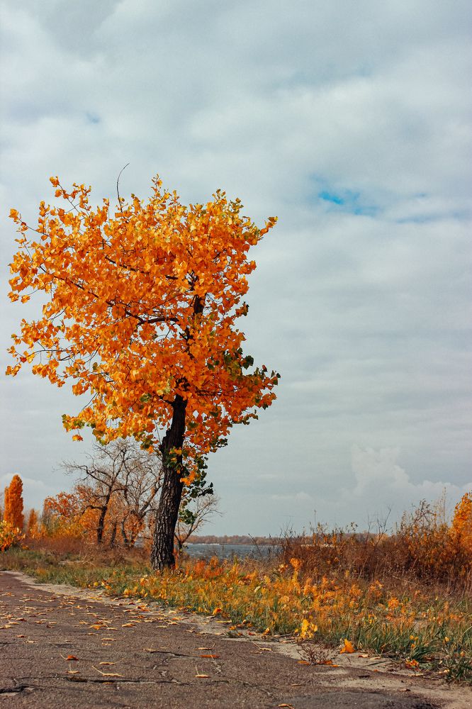Photograph by Юлия Белозёрова