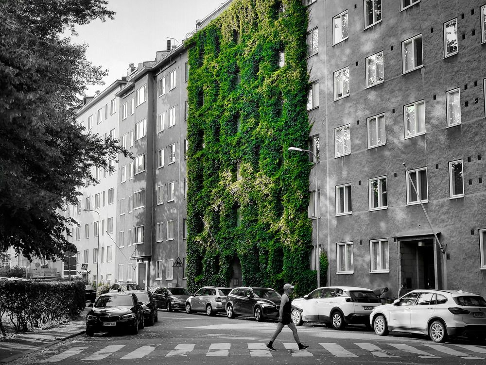 Photograph by Tuure Äikäs