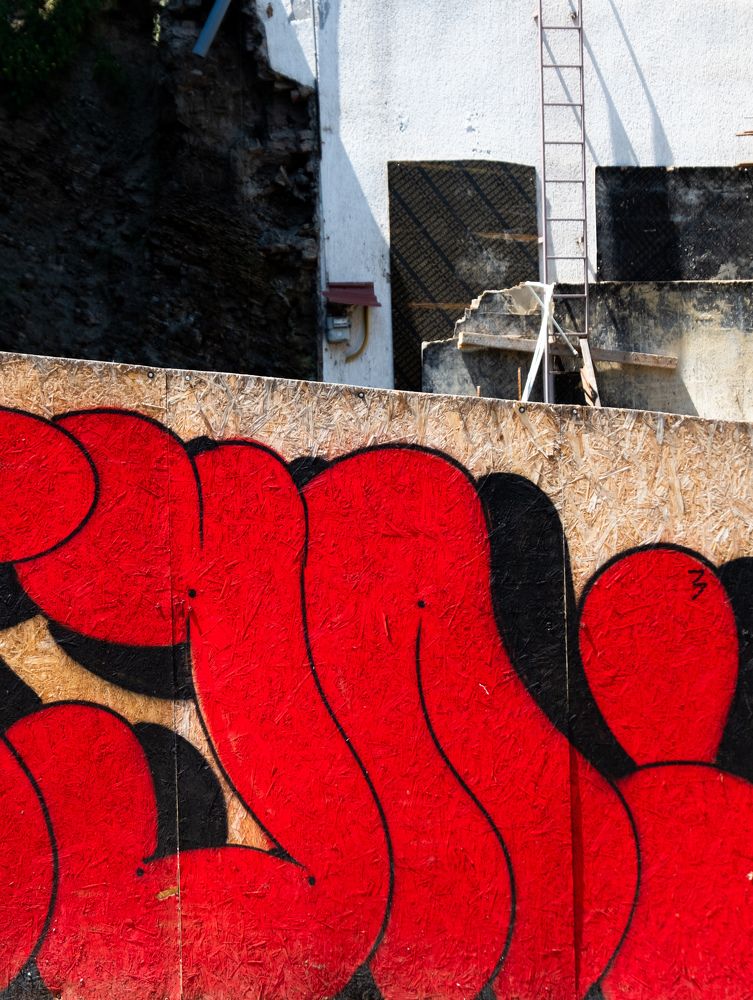 Photograph by Светлана