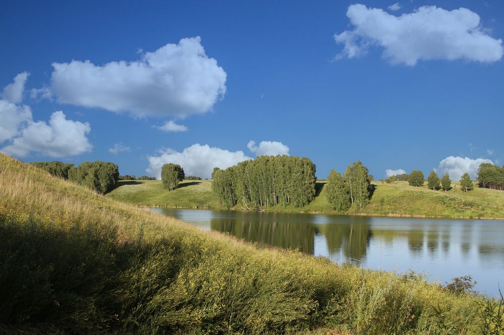 Фотография автора Andrey Pristyazhnyuk