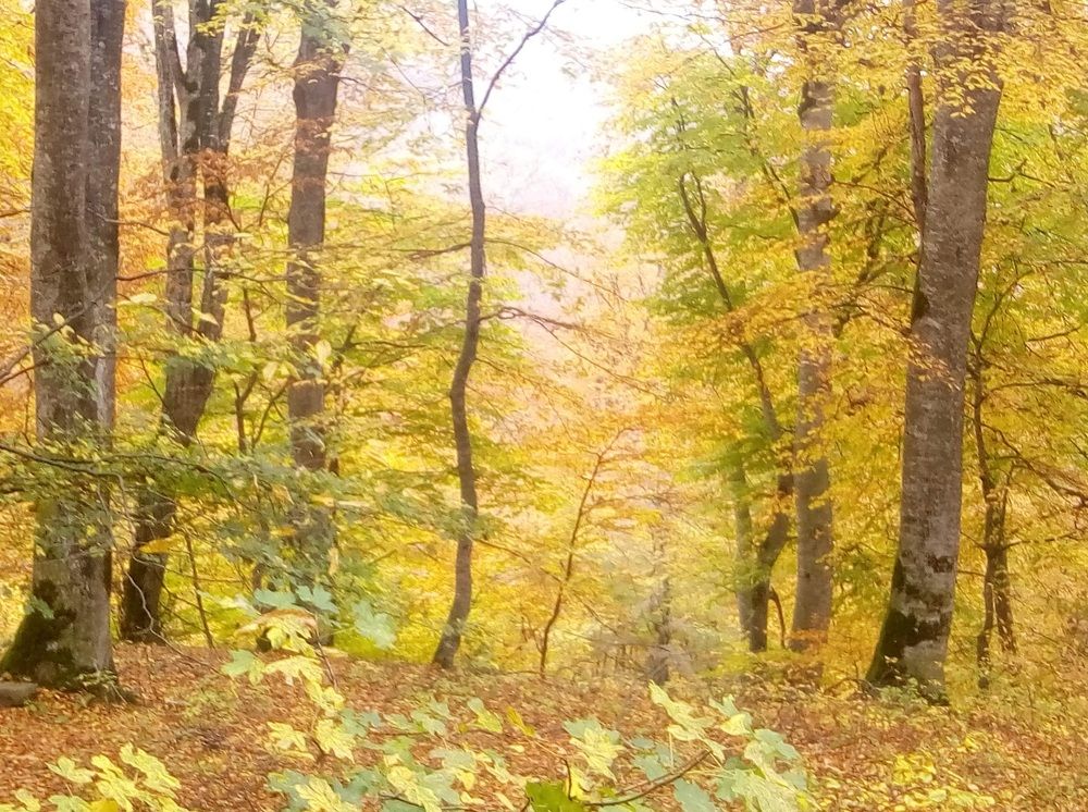 Photograph by Wegiel Krzysztof