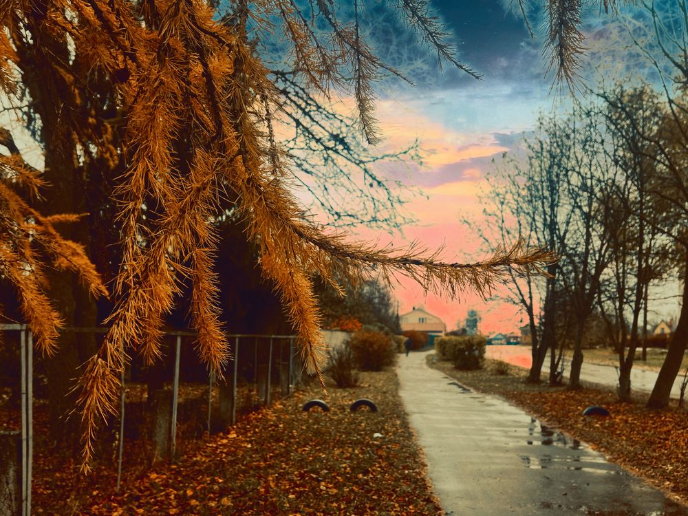 Photograph by Лыжин Григорий