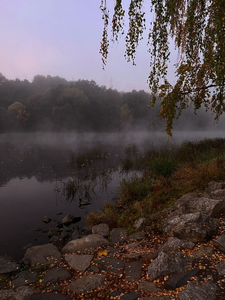 Photograph by Tatiana Chernaletskaya