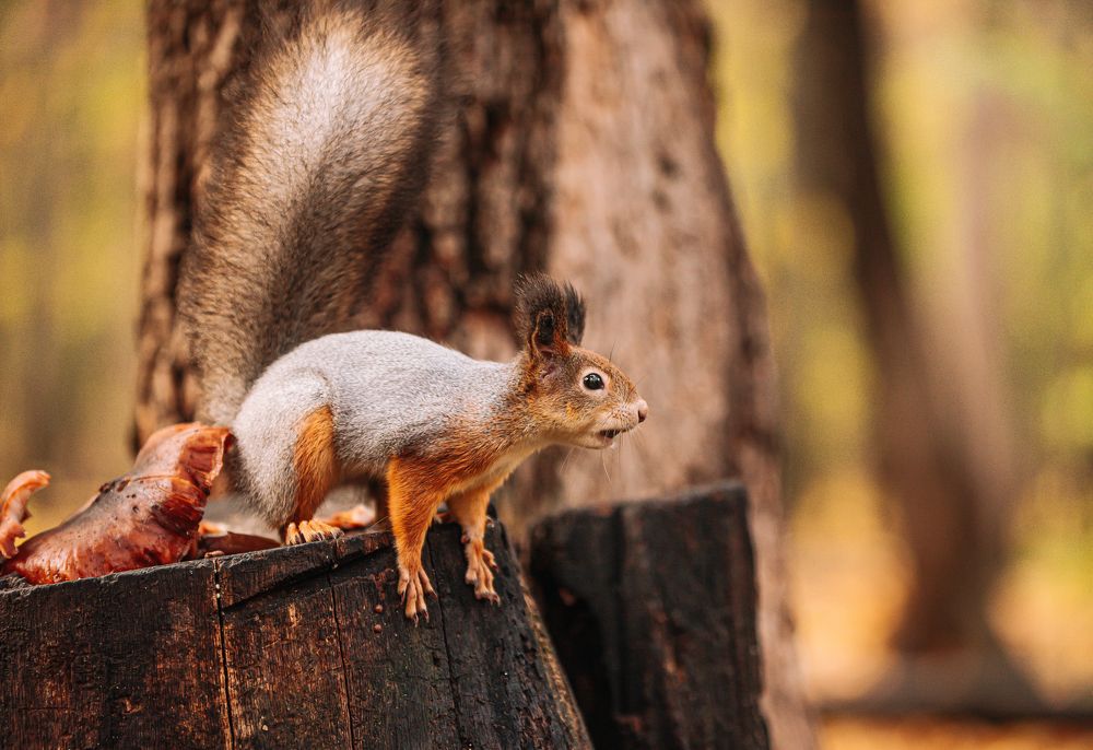 Photograph by Юлия Сухарева