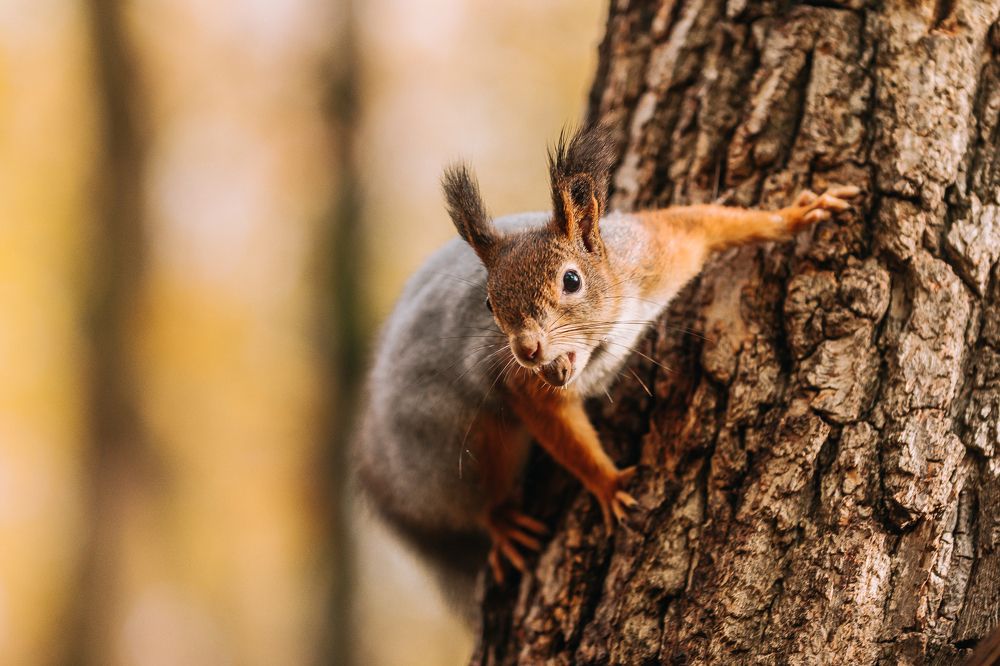 Photograph by Юлия Сухарева