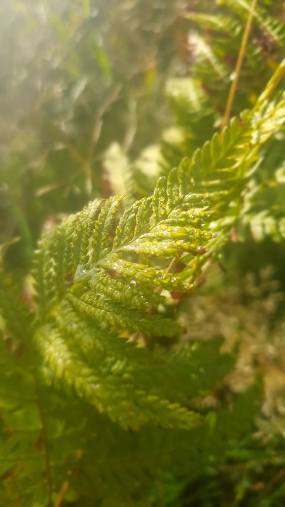 Photograph by Виктория Миллер