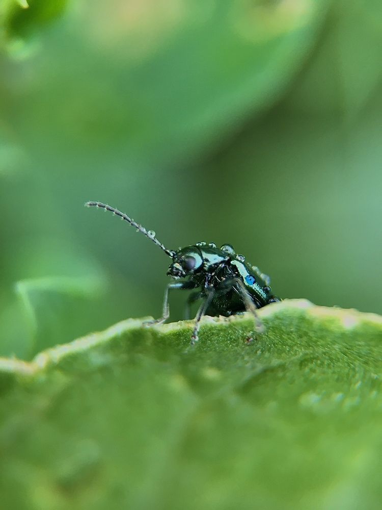 Photograph by Людмила Коныгина