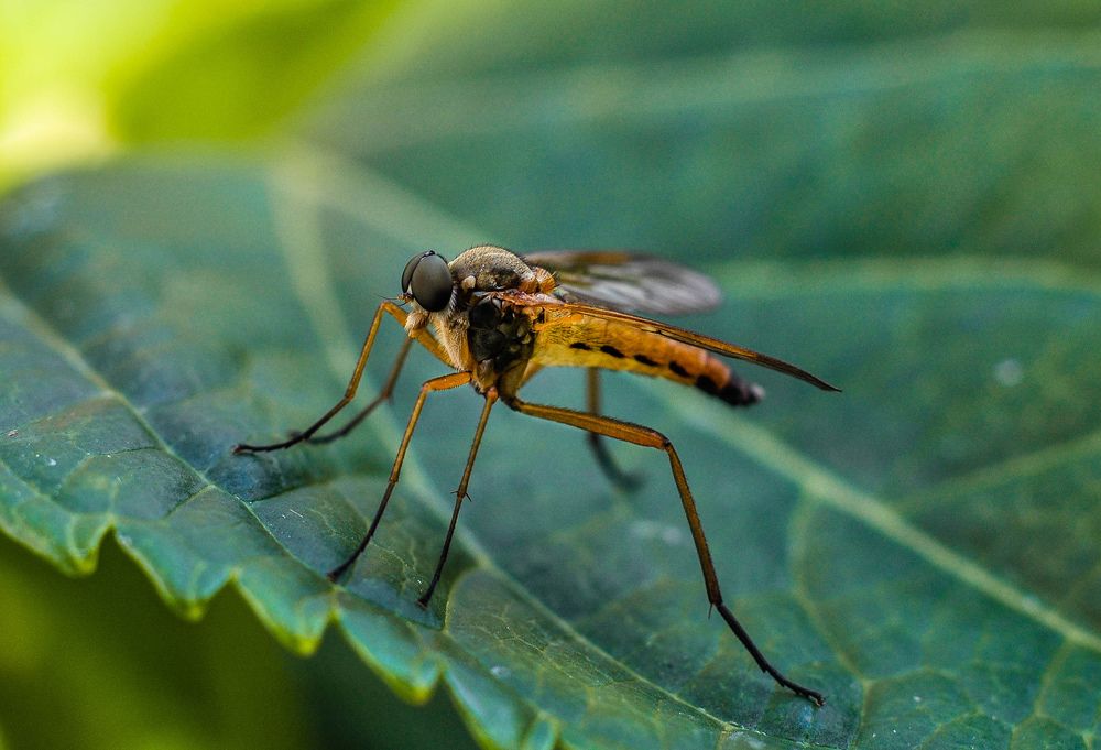 Photograph by Олеся zme