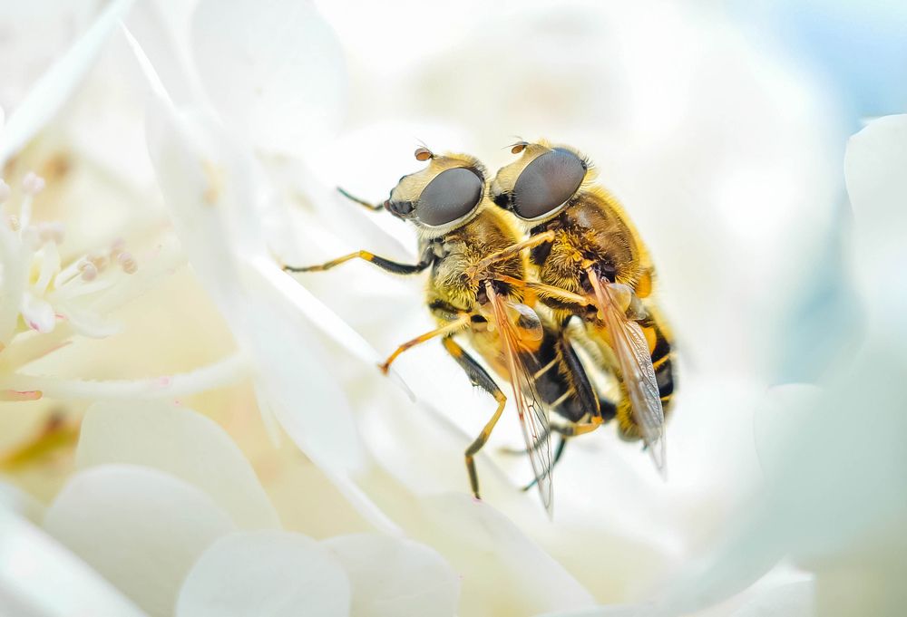 Photograph by Олеся zme