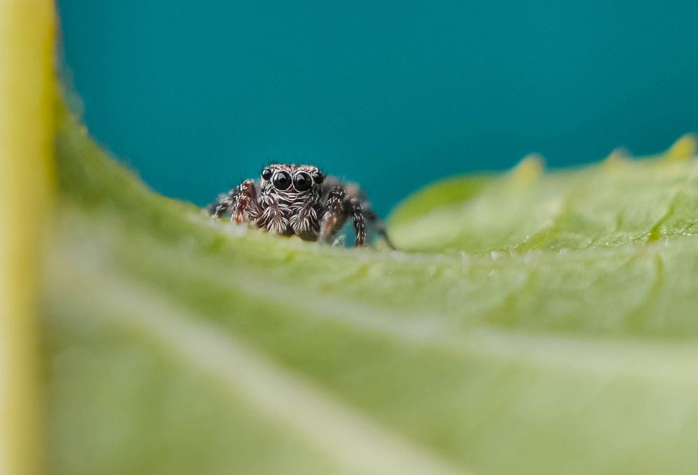 Photograph by Олеся zme