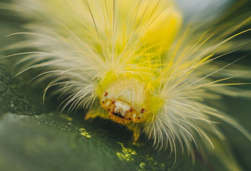 Photograph by Олеся zme