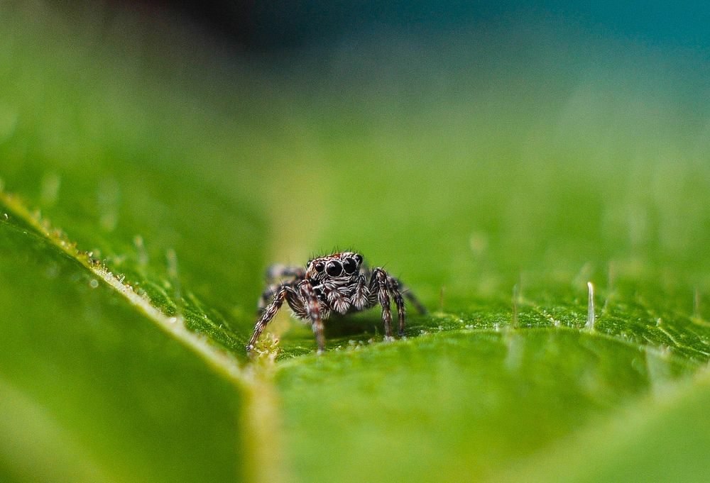 Photograph by Олеся zme