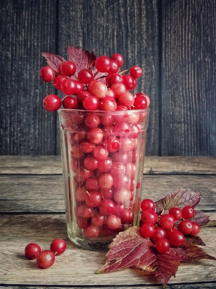 Фотография автора Fotolove Tasha