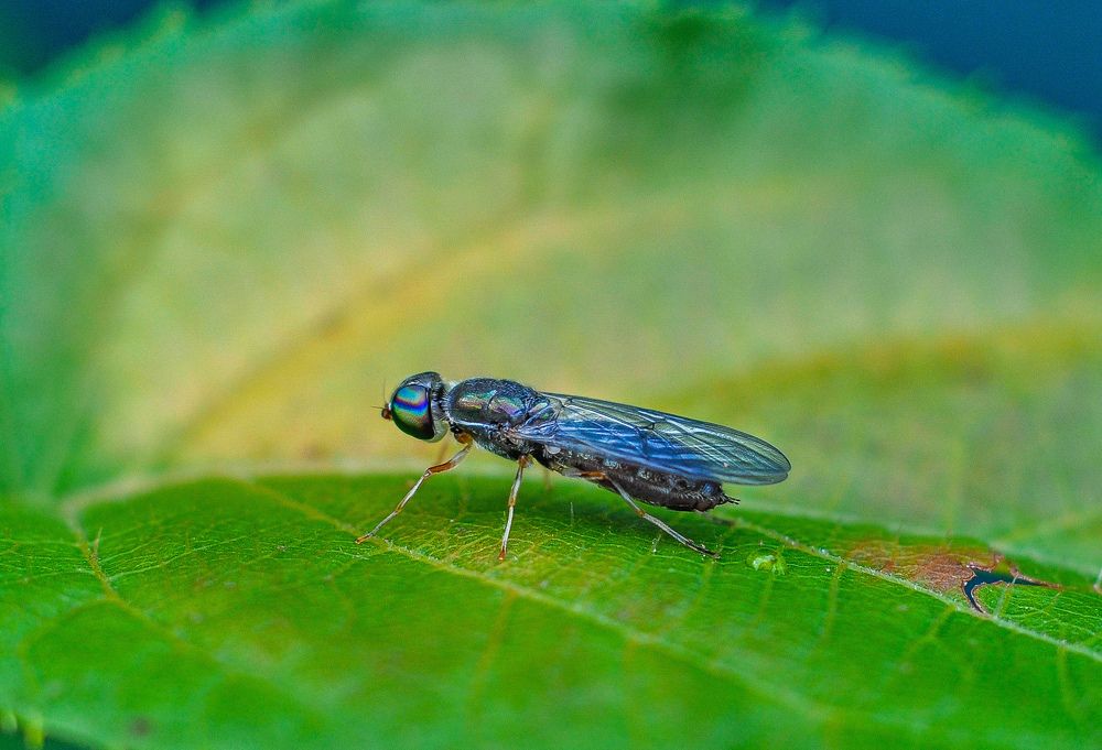 Photograph by Олеся zme