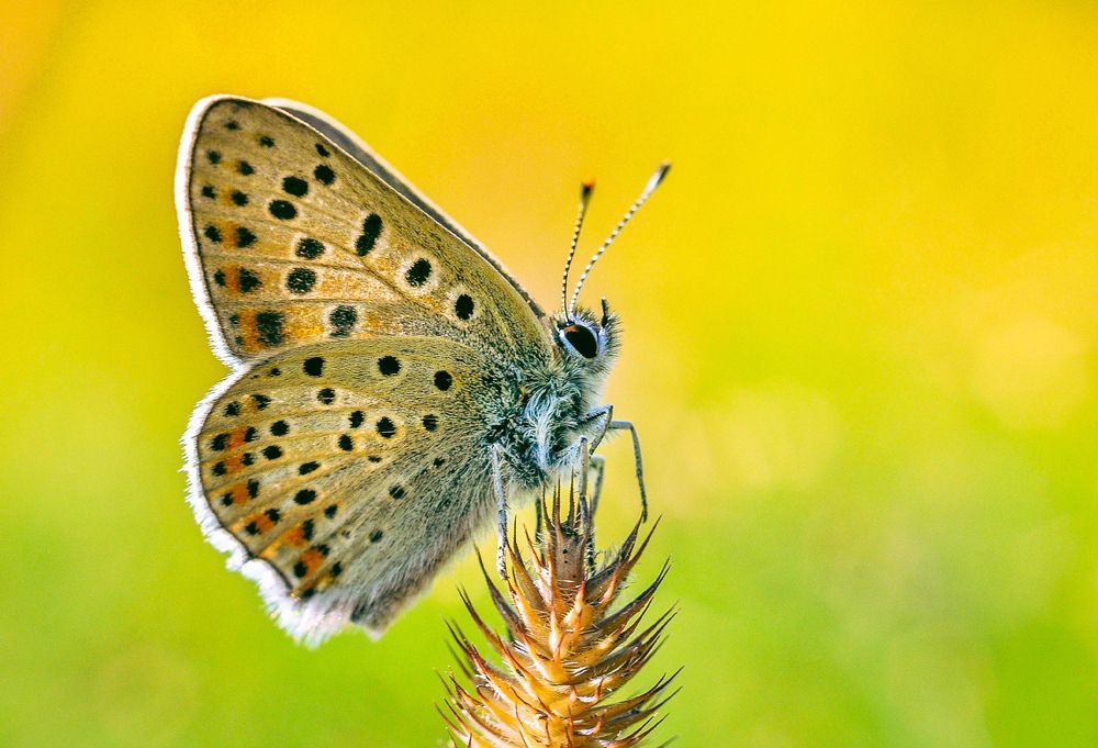 Photograph by Олеся zme