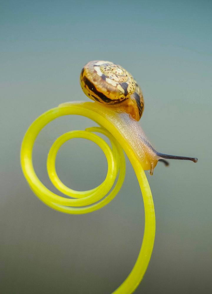 Photograph by Олеся zme