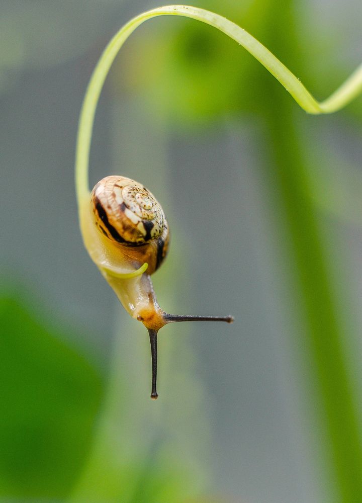 Photograph by Олеся zme