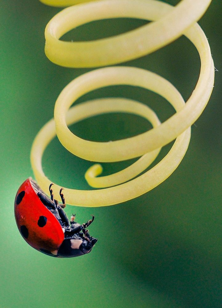 Photograph by Олеся zme