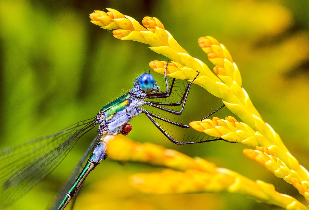 Photograph by Олеся zme