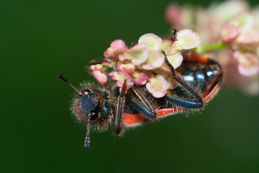 Фотография автора Максим Светличный