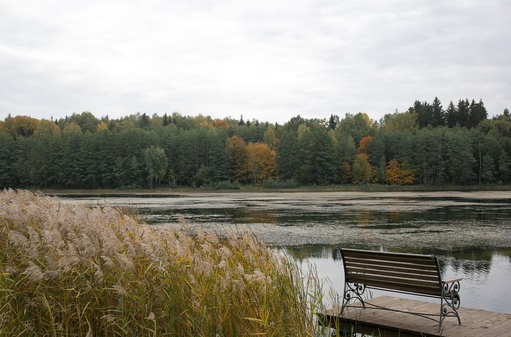 Фотография автора Ольга Матусевич