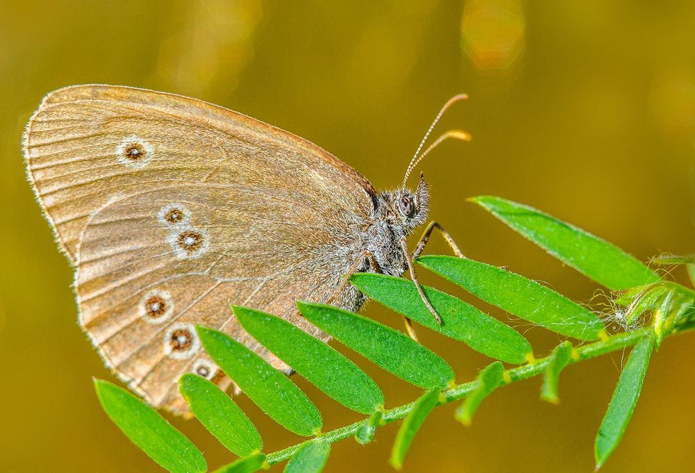 Photograph by Олеся zme