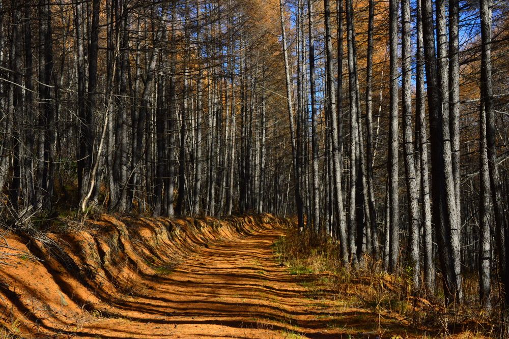 Photograph by Дмитрий Юдин