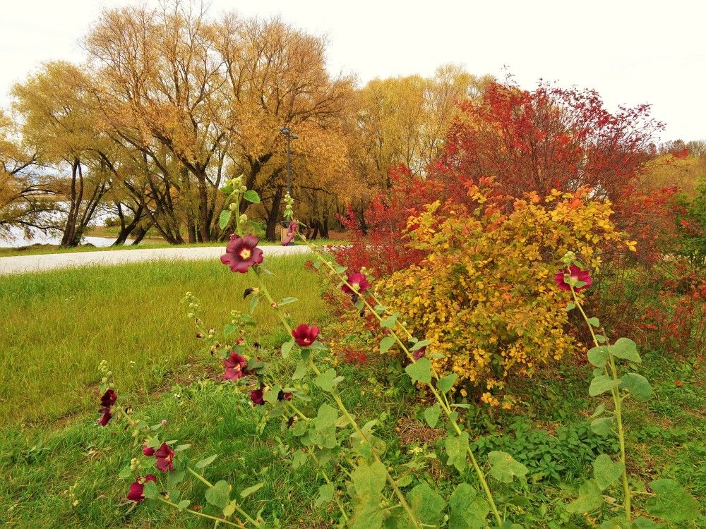 Photograph by Владимир Джерихов