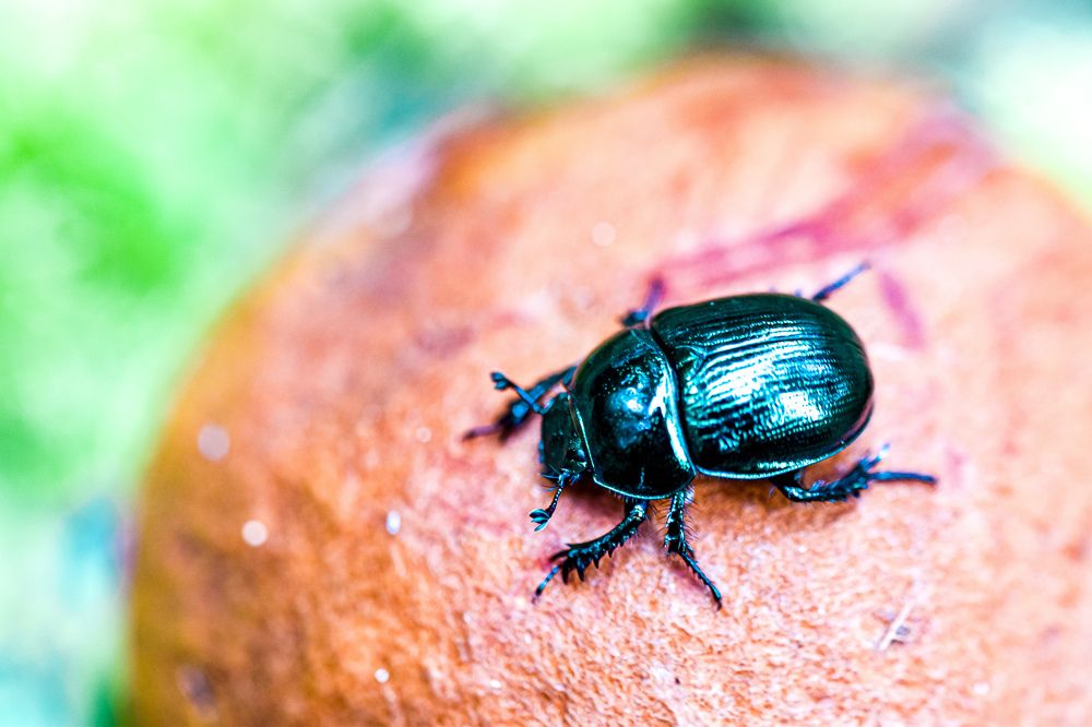 Photograph by Наталья