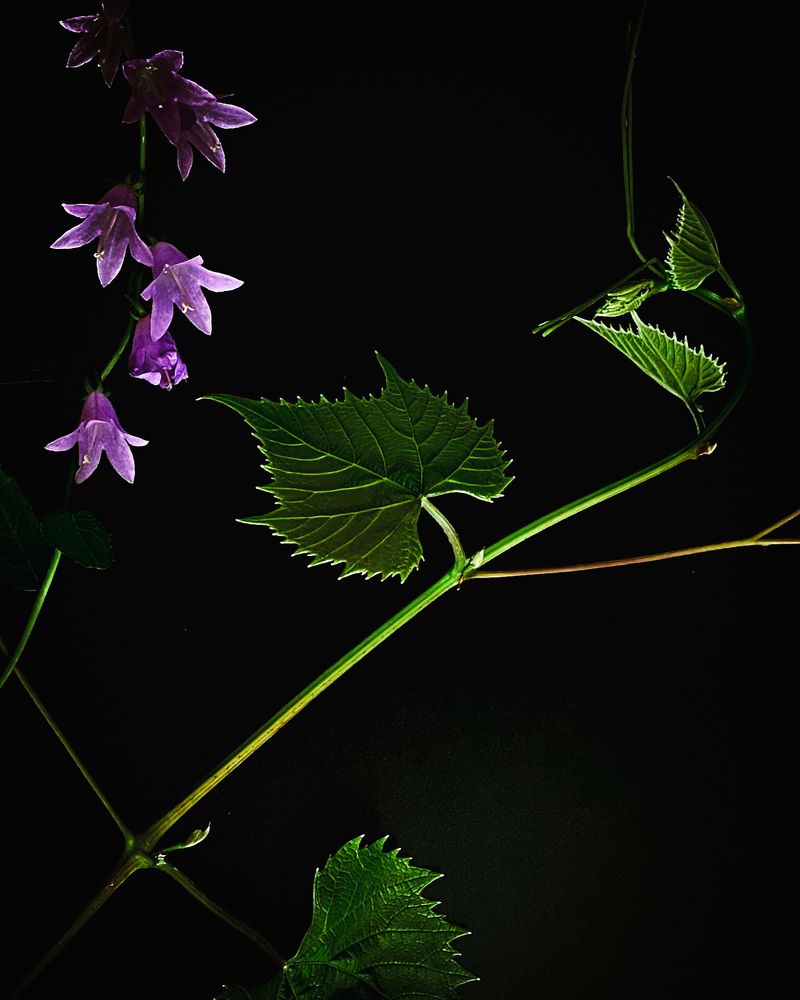 Photograph by Людмила Казак