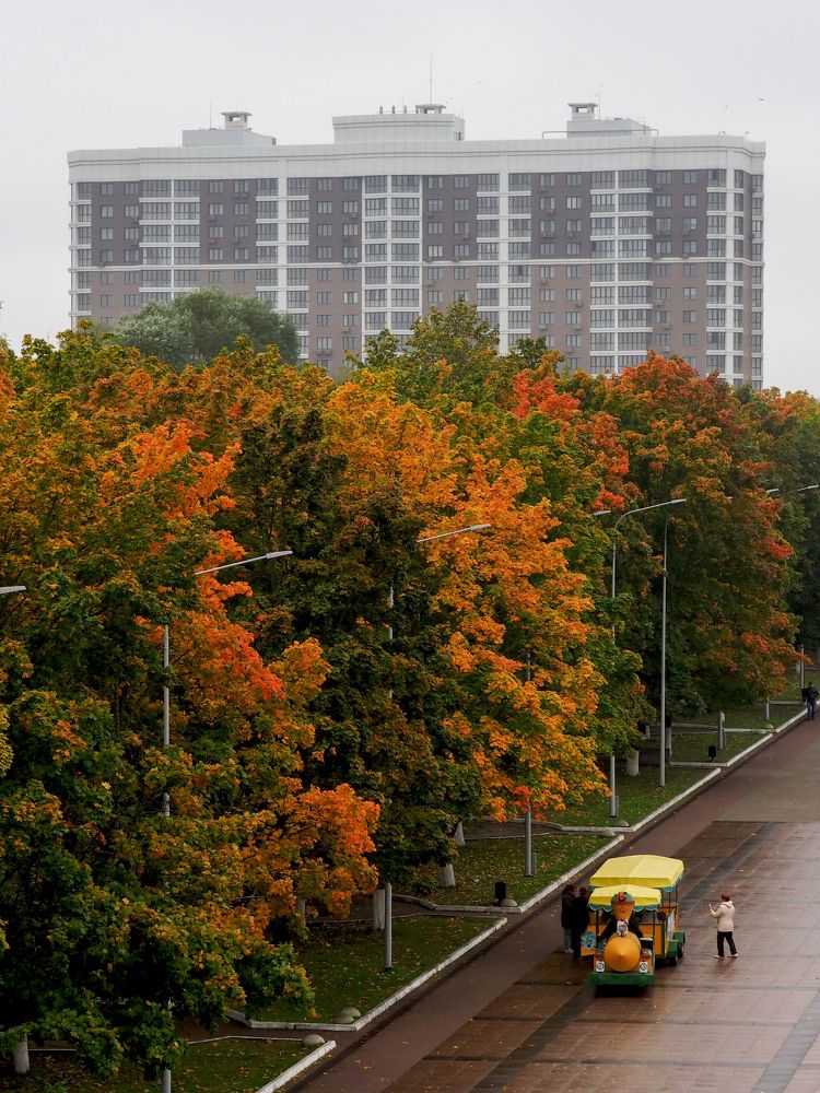 Фотография автора Елена Бурцева