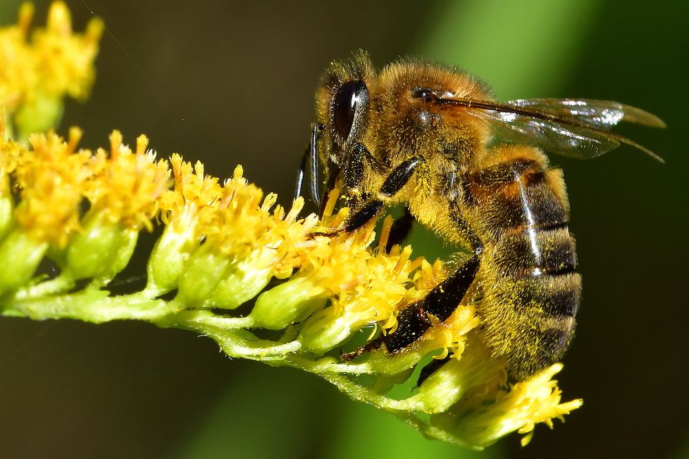 Photograph by Корнейчук Игорь