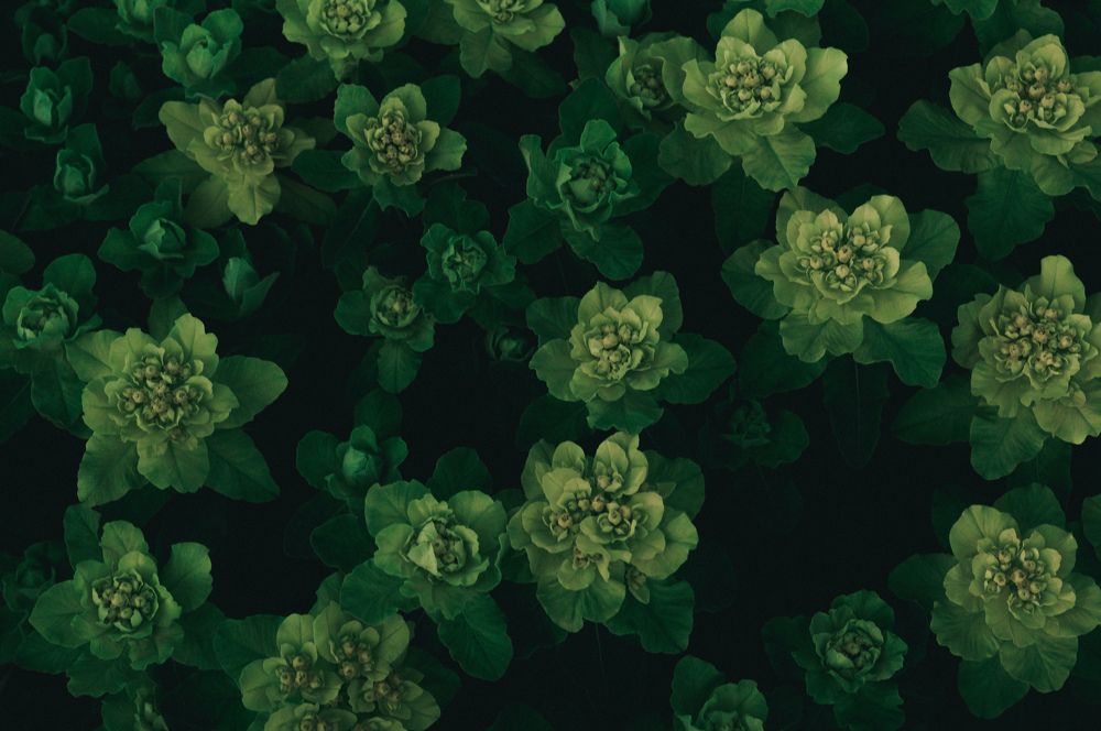 Photograph by Иван Мысов