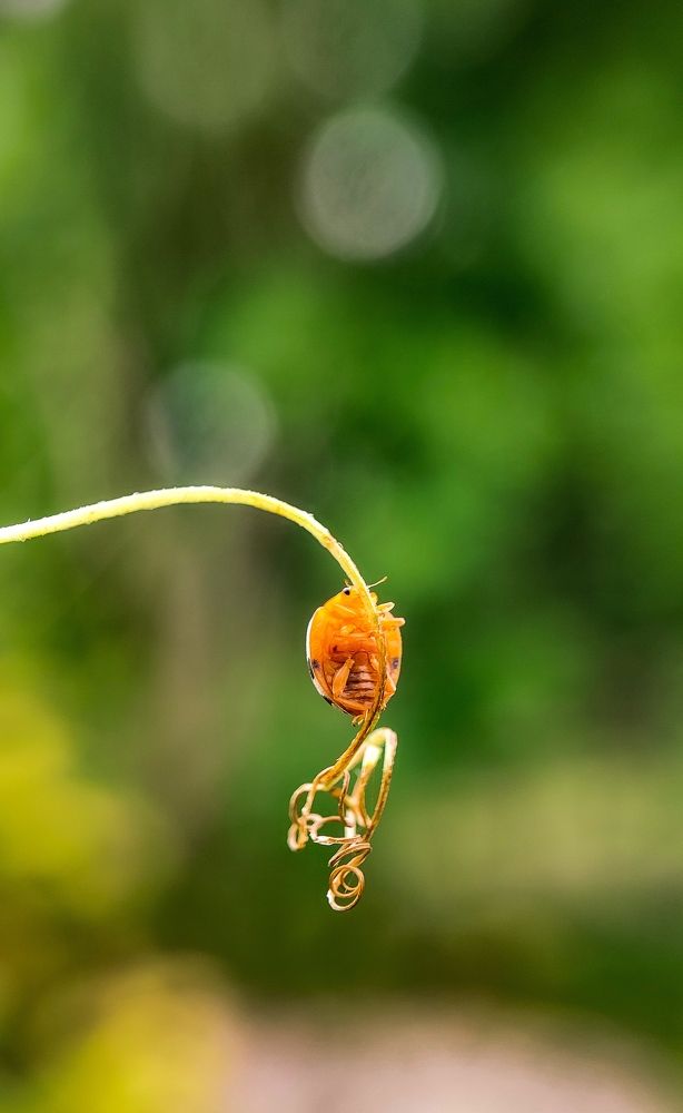 Photograph by Arindam Sahoo