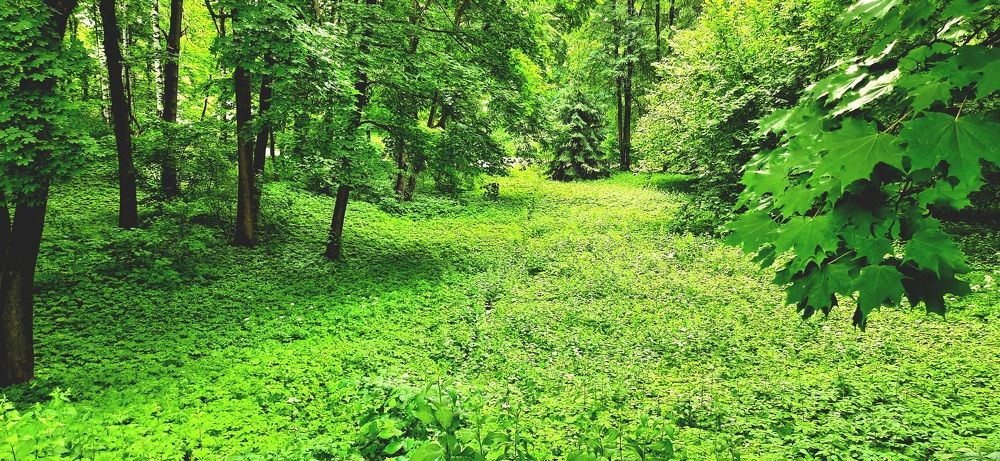 Photograph by Парфенова Александра