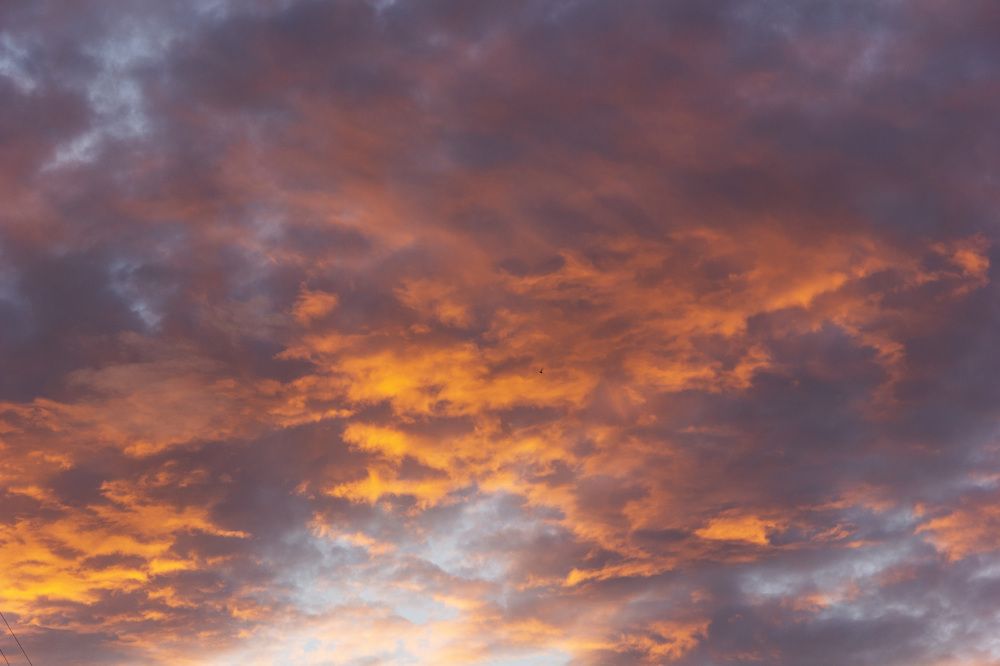 Photograph by Anna Gapanovich