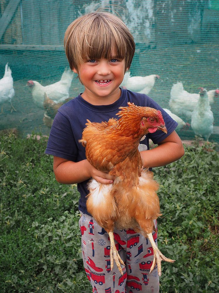 Фотография автора Елена Бурцева