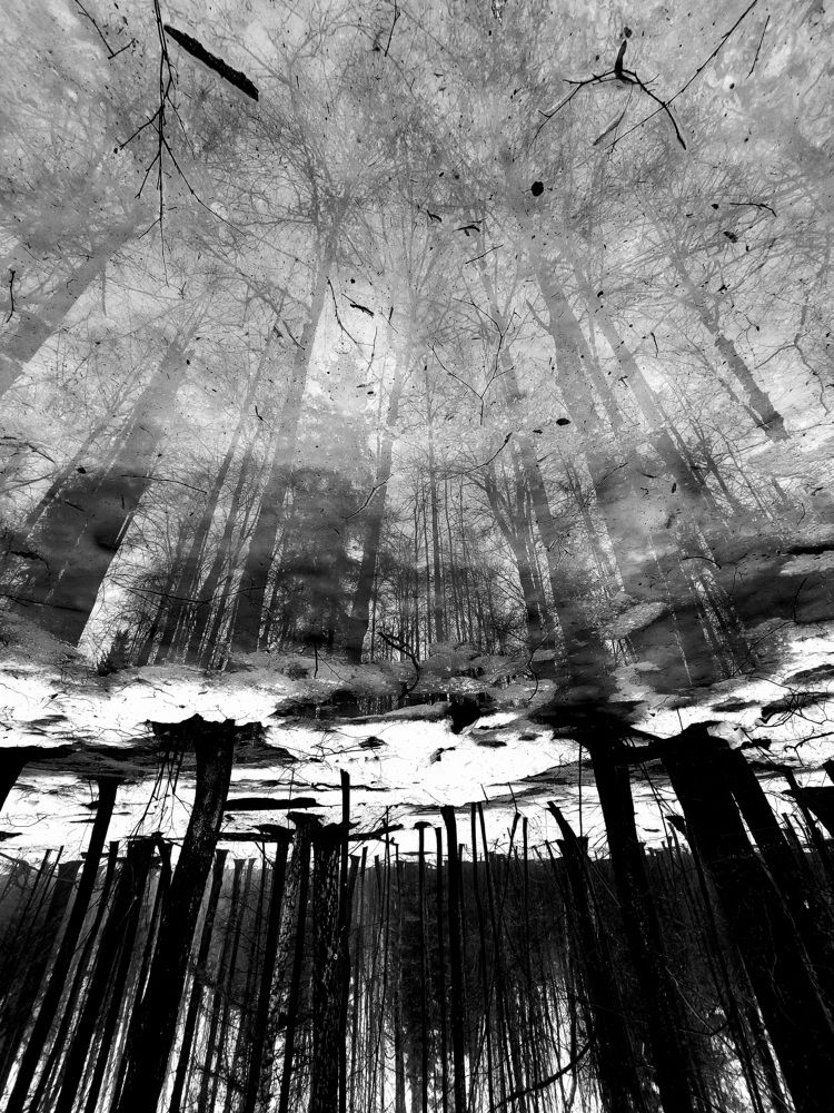 Photograph by Ольга Аркилович