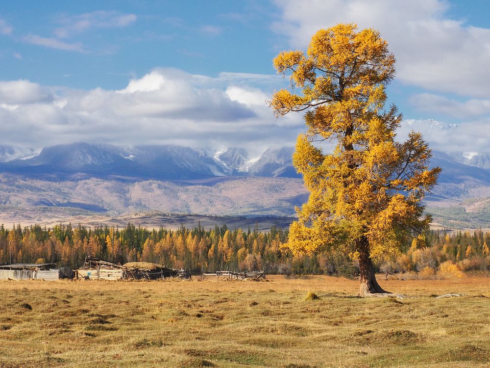 Photograph by Галина Хвостенко