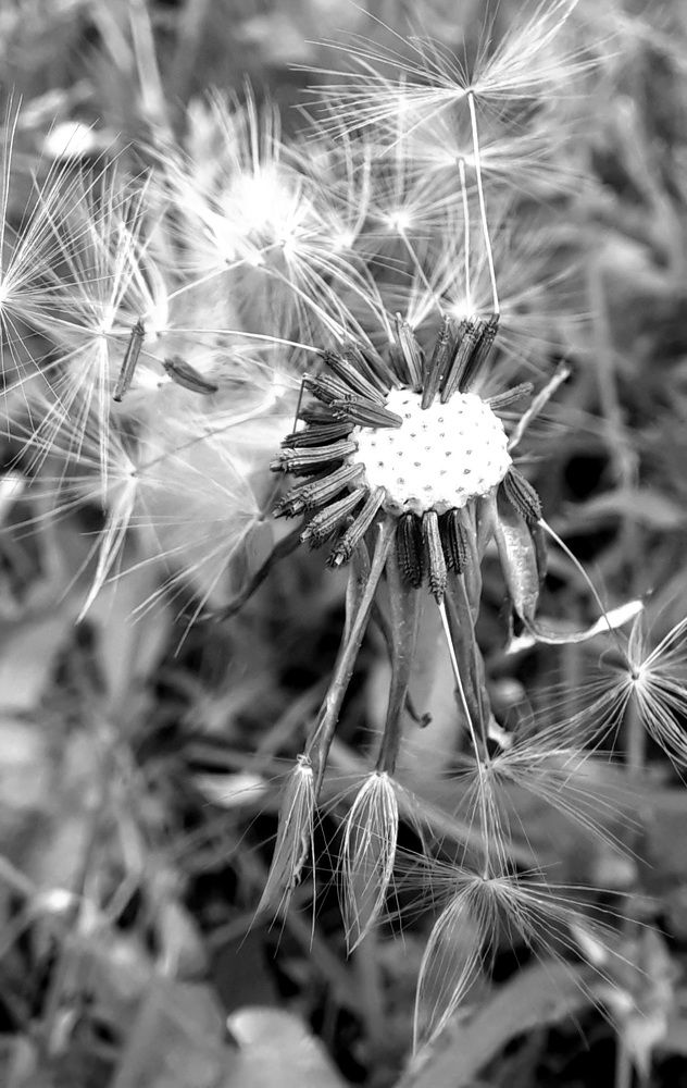 Photograph by Катерина