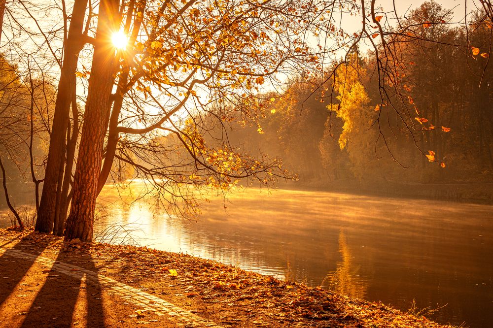 Photograph by Жанна Агафонова