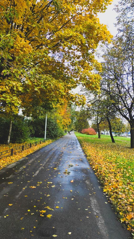 Фотография автора Марина Алексеевская