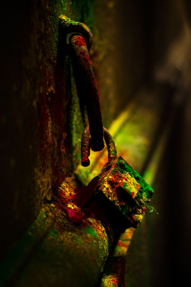 Photograph by Partha Mukhopadhyay