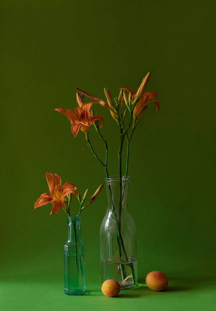 Photograph by Анна Статейко